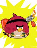 69648_very_angry_bird_5_by_doodzki22-d4w0gq2.