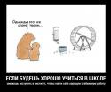 69790_Mechta_gorodskih_gitelei.