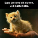 69856_kill_kitten.