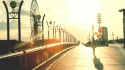 69946373223_0_0_tumblr_lz5z3v9ZIM1qf1m3so1_500_tlog.