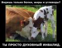 70023_Dyhovnyi_invalid_3.
