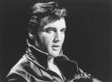 70104_ELVIS_08_01_1935.