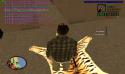70203_SAMP4.