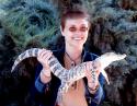 70237_Crocodile2003.