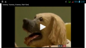 7035_Screenshot_2014-05-28-02-01-39.