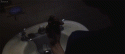 70373_tumblr_m2mbc0Am2X1qfpn1do3_500.