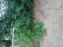 70486_IMG_20140708_082148.