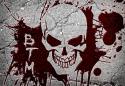 70549_skull293.