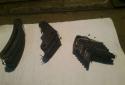 70578_18385919honabmiomingsempbar1410185.