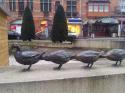 70585_VtTC412g2ak.