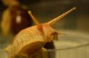 7064DSC_0020.