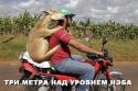 70873_715vIlbKnAk.