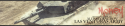 71039_Aleksey_Bagrov.