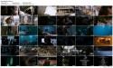 71087_28_nedel_spustja_DVDRip_preview.