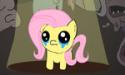 71127_the_binding_of_fluttershy_by_stickfiguresrule321-d4qb1t9.