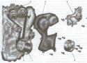 7115zamena-remnya-grm-ford-focus-3.
