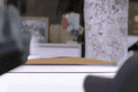 71268_1250182120_fittycentcatstare_contest.