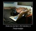 71384_777595_anzhela-izuchaet-obstanovku-v-lyuftvaffe_demotivators_ru.