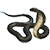 71503_Black-Snake-2.