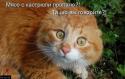 71574_image.