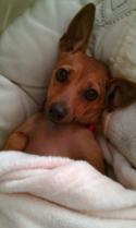 71610_IMAG0467.