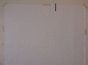 71738_GIF_DINO.