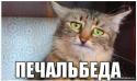 7173_q2_zyuaZGJc.