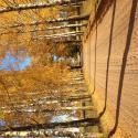 71822_photo-2.
