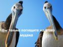 7194_nnYfMx3hYzg.
