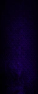 72041_Purple-Hex-Tall-BG.