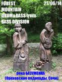 72051_bassdivision.