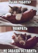 72070_A1U09JJNaEw.
