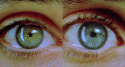 72136_tumblr_lwsh4b3ZzL1r4q069o1_500.