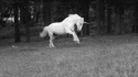 72155_tumblr_mjm97cGqT11s77k5ho1_500.