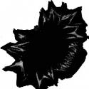 72299_kRKZXbE9SE0.