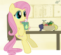 7232juicebox_shy_by_embertwist-d4d340u.