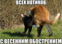 72387_XQq8EPC7c64.