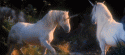 72451_Favim_com-634248.