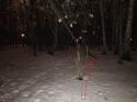 72451_wood_25_22.