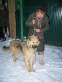 7245IMG_6031.