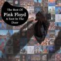 7246Pink_Floyd_2011.