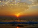 72489_image.