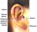 72782_ear1.