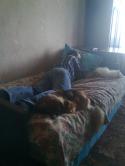 72850_Foto0393.