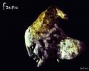 7288fauno_cvet.