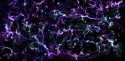 72905_background_flames_purple_green_blue.