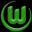 729417_vfl_wolfsburg64.