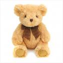 73030_39622-huggable-teddy-bear.