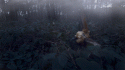 73113_Golden-Pheasant-Small.