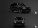 73209_RR_ONYX.